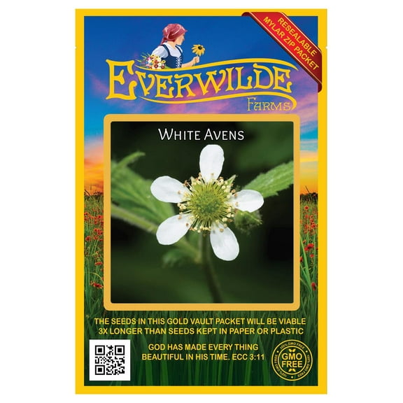 Everwilde Farms - 600 White Avens Native Wildflower Seeds - Gold Vault Seed Packet