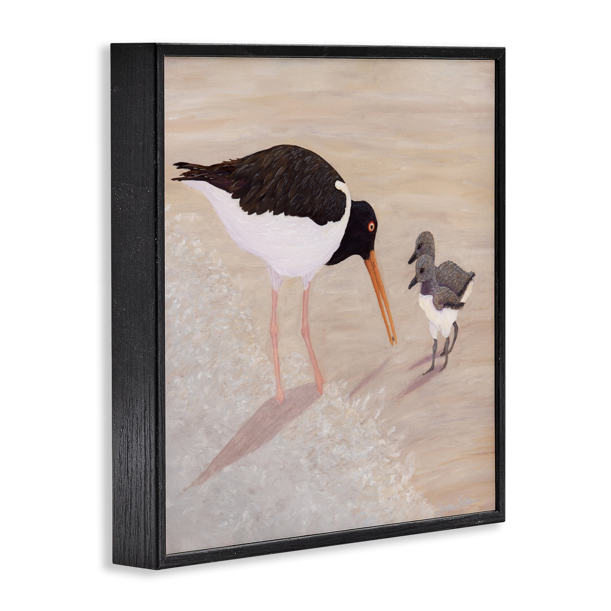 Stupell Industries American Oyster Catcher & Chicks Black Framed Giclee Art, design by Barbara Fallenbaum