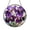 Acrylic 3.5 Inch, variant on Stained Glass Style Iris Suncatcher, Botanical Window Art Panel with Elegant Floral Theme, Decorative Hanging Ornament