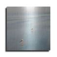 thumbnail image 1 of Luxe Metal Art 'Two Birds on Beach' by John Juracek, Metal Wall Art, 36"x36", 1 of 7