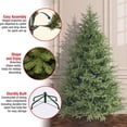 thumbnail image 4 of National Tree Company 7 ft. Frasier Fir Unlit Artificial Christmas Tree, 4 of 6