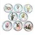 thumbnail image 3 of Twisted R Design Cabinet Knobs, Knobs for Kitchen Cabinets and Drawers, Matching Cabinet Knobs and Pulls, 1.5" Round Dresser Drawer Knobs (Set of 8 Flowering Cactus Wood Knobs), 3 of 4