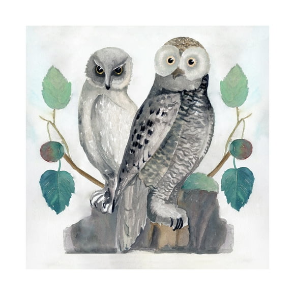Stellar Design Studio 'Traditional Owls I' Canvas Art