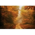 thumbnail image 2 of Van de Goor, Lars 32x23 White Modern Wood Framed Museum Art Print Titled - Autumnal Walk, 2 of 4