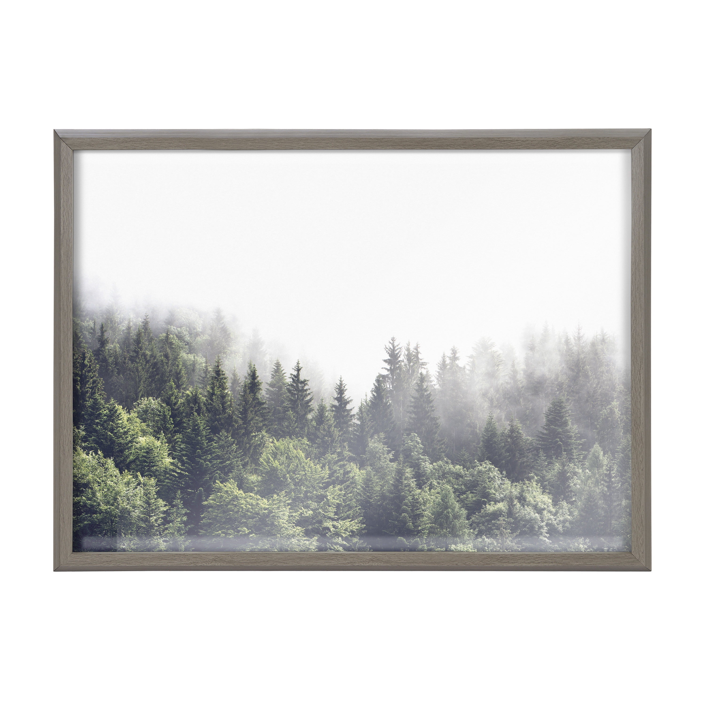 Blake Lush Foggy Green Forest 24 in x 18 in Framed Photography Art Prints, by Kate and Laurel