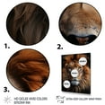 thumbnail image 3 of Designart "Lion Portrait Animal II" Animals Floater Framed Wall Art Print, 3 of 7