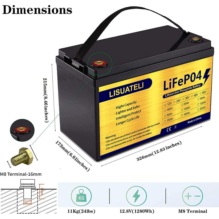 LISUATELI 12V 100Ah Mini Bluetooth LiFePO4 Lithium Battery, Deep Cycle  Battery with Upgraded 100A BMS, Max 1280W Energy, Up to 15000 Cycles &  10-Year