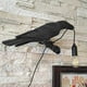 thumbnail image 5 of Lámpara de pared Crow, lámpara de pared gótica única de cuervo, para dormitorio, sala de estar, decoración, 5 of 5