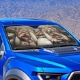 thumbnail image 4 of Xixirimido Car Windshield Sun Shade Foldable Sun Visor for Front Window Sunshade Universal Fit Most Truck SUV Vans Car Interior Accessories, Cute Yorkshire Terrier, 4 of 8