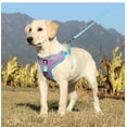 thumbnail image 6 of Yidarton New Mesh Pet Chest Strap Vest Dog Strap Reflective Dog Rope Medium And Large Dog Leash, 6 of 10