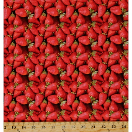 Cotton Strawberry Strawberries Food Fruit Vegetables Red Cotton Fabric Print by the Yard (112594)