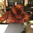thumbnail image 3 of Simulation Animal Jungle Forest Brown Bear Giant Plush Teddy Bear Toy Stuffed Animal Soft Pillow Girls Children Birthday Gift about 100cm, 3 of 4