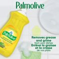 thumbnail image 5 of Palmolive Essential Clean Liquid Dish Soap, Lemon Citrus Zest Scent - 828 mL, 828mL, 5 of 5