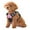 Pink, variant on MoNiBloom No Pull Mesh Dog Harness for Large Dogs, Reflective Vest Pet Harness with Control Handle, Black L