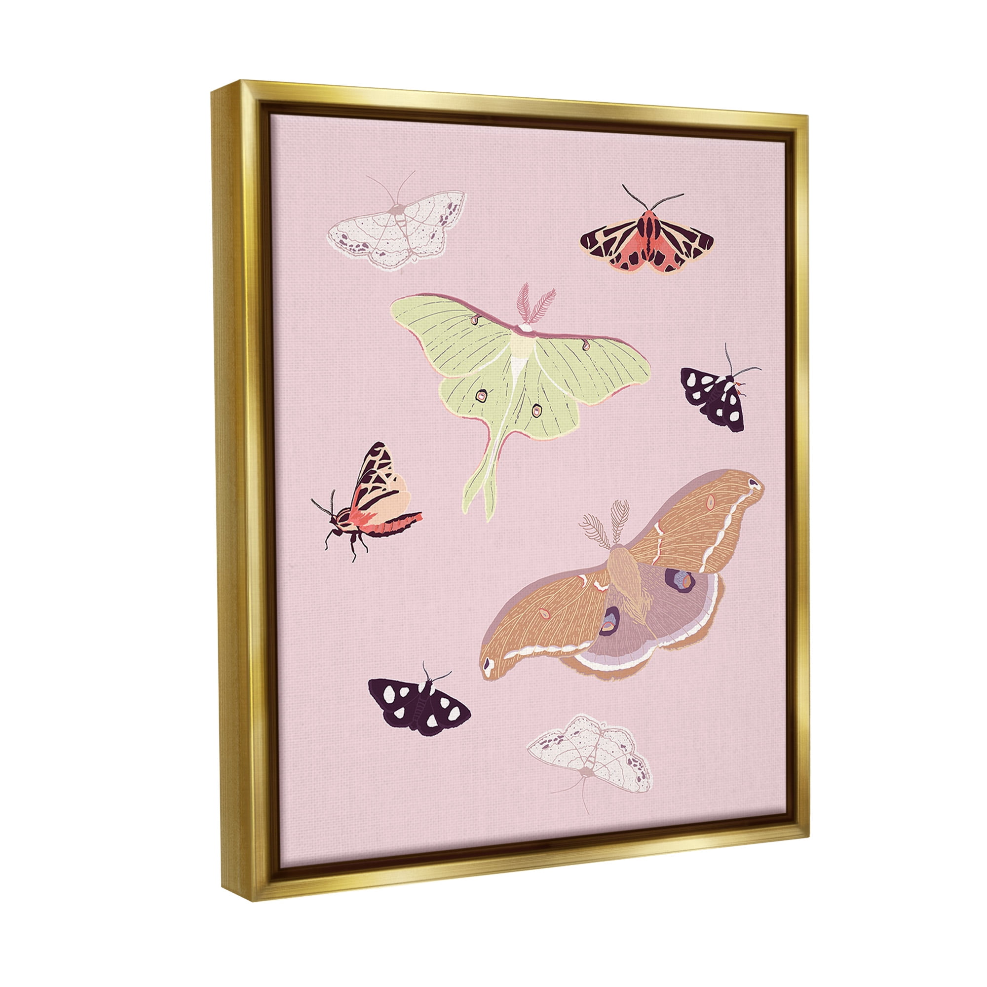 Stupell Industries Varied Moth Pattern Animals & Insects Painting Gold Floater Framed Canvas Art Print Wall Art, 25 x 31