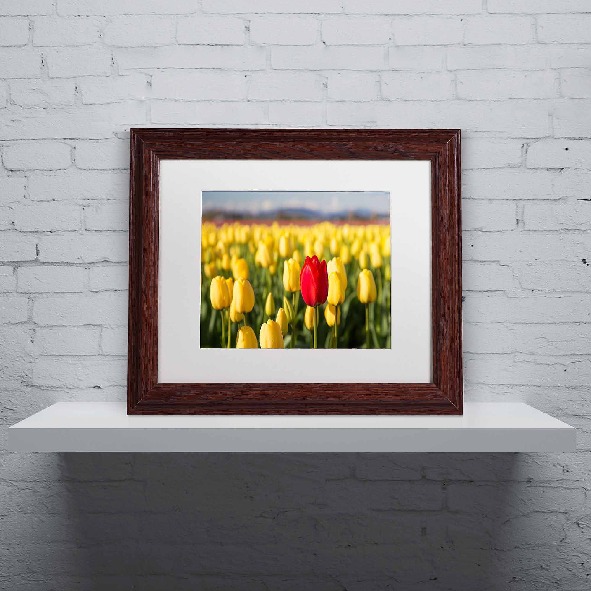 Trademark Fine Art "Red Tulip" Canvas Art by Pierre Leclerc, White Matte/Wood Frame
