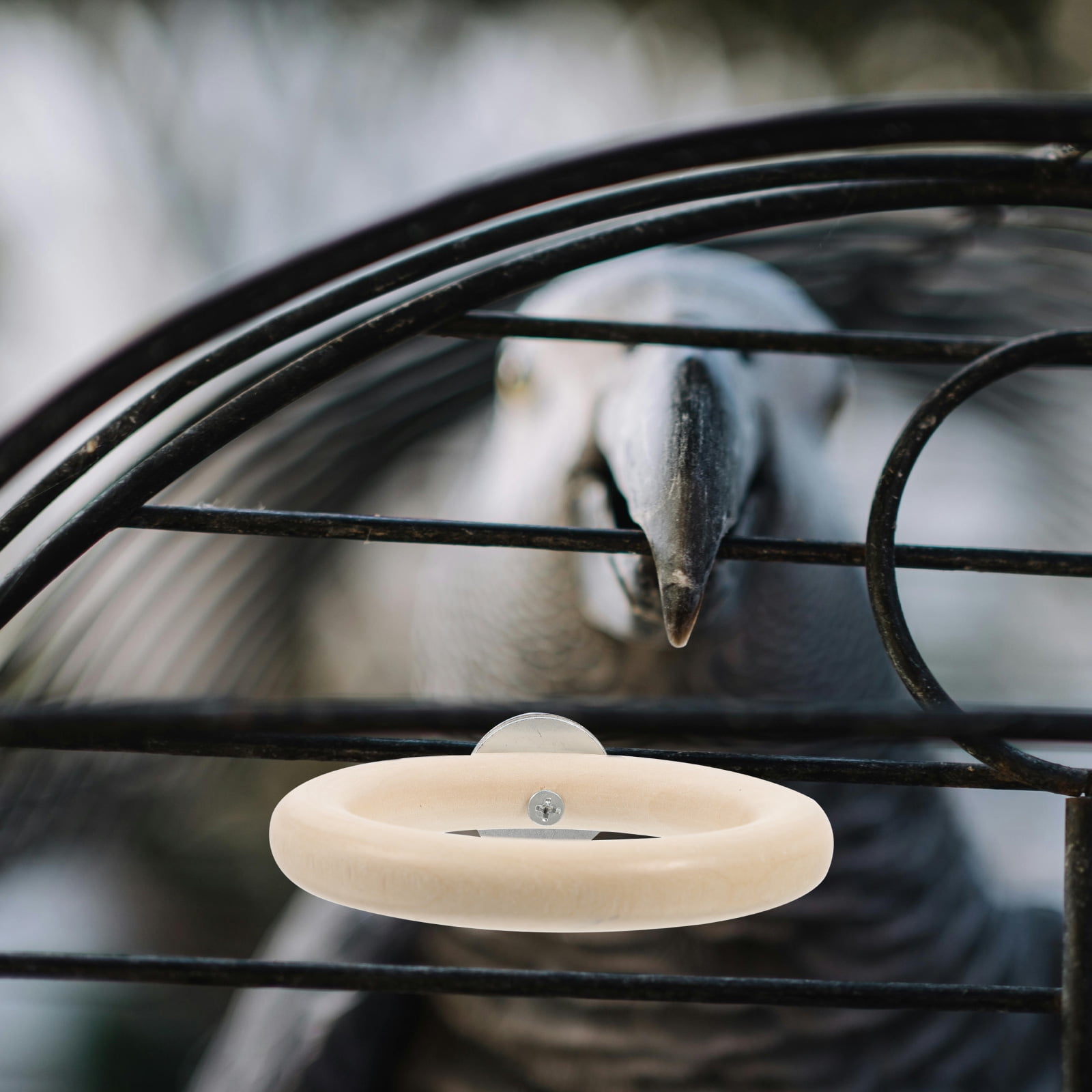 LOLIPPYY Natural Wood Bird Perch Stand with Round Swing Platform for Parakeet Cockatiel and Parrot Accessories