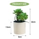 thumbnail image 2 of 4 Uds suculentas con postes en ambos extremos, bonsái plantas verdes artificiales creativas, pequeños adornos, macetas, plantas verdes, 2 of 5