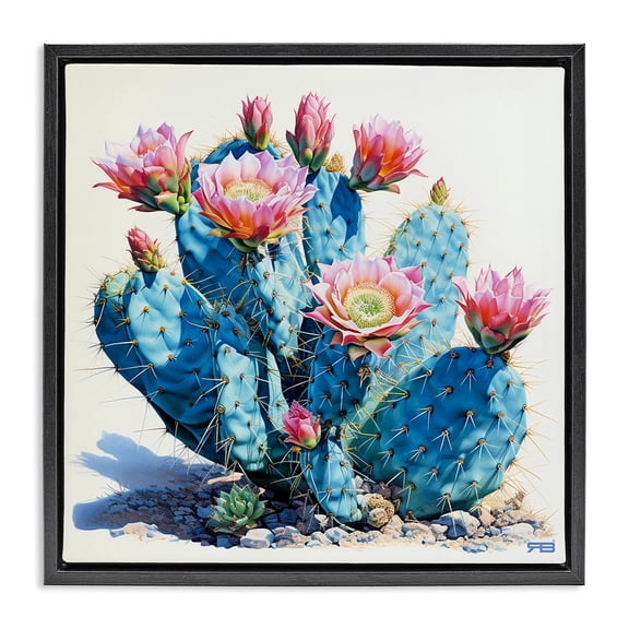 Stupell Industries Contemporary Prickly Cactus Blossoms Black Floating Frame Canvas Art, 18 x 18, by RB