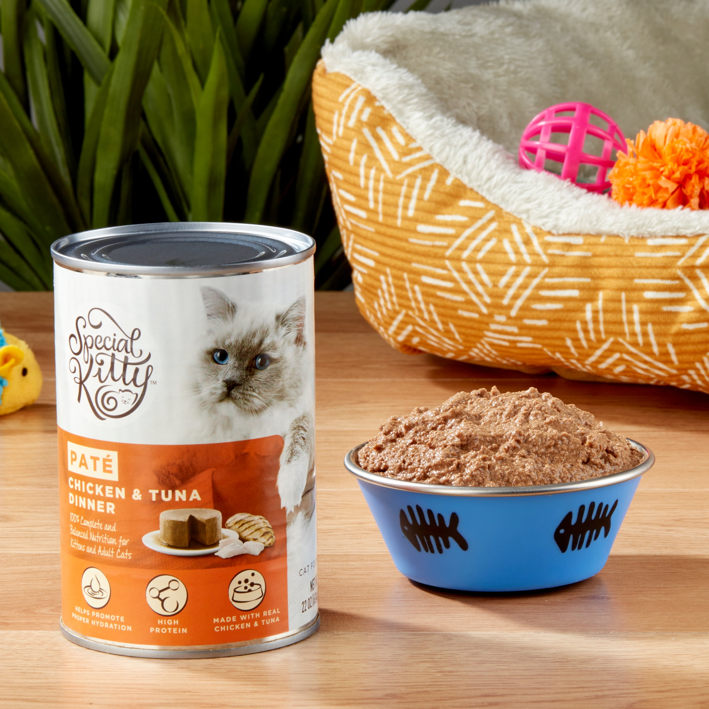 (12 pack) Special Kitty Chicken & Tuna Dinner Pate Wet Cat Food, 22 oz Can