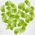 thumbnail image 3 of CafePress - Ginkgo Leaf Heart Kids Light T Shirt - Light Classic Kids Graphic, Short Sleeve T-Shirt, Sizes XS-XL, 3 of 4