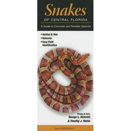 Snakes Of Central Florida A Guide To Common And Notable