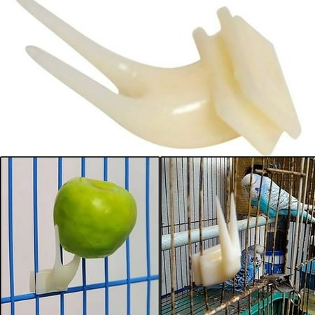 Topincn Birds Feeding Tool Birds Feeder Fork Convenient
