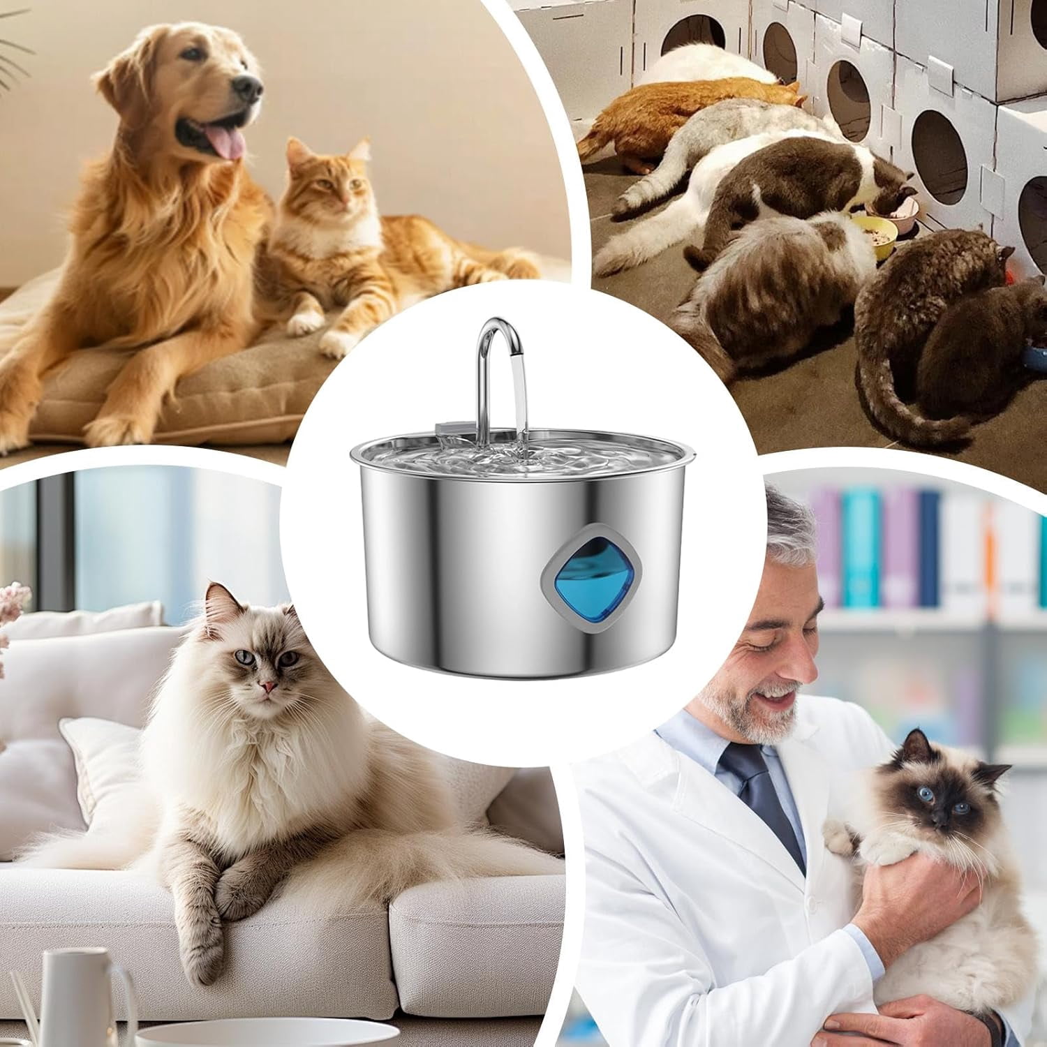 Cat Water Fountain, Stainless Steel Bowl, Durable 3.2L Automatic Dispenser Strong Build, Reliable Pet Supplies for Indoor Large Medium Small Dog Kitten Feeding Watering Daily Use