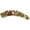 B, variant on Bradem Sparkly Banana Hair Clips - Cute Butterfly Clincher Combs, Strong Hold for Women & Girls