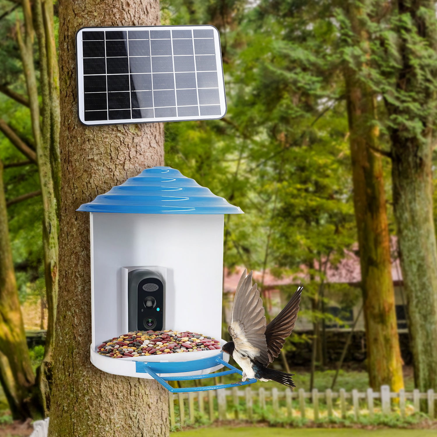 Moclever Smart Bird Feeder with Camera, 1080P HD, Solar Powered, AI Bird ID, WiFi, Night Vision, IP65 Waterproof, Cloud & Card Storage