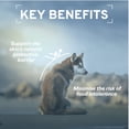 thumbnail image 5 of Forza10 Wet Dog Food Hypo Fish 12 pack, 5 of 14