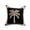 D, variant on Palm Tree Tropical Throw Pillow Covers 20x12, Hawaiian Beach Summer Decor, Vintage Coastal Coconut Leaf Outdoor Pillow Cases, Soft Decorative Cushion Covers for Bed Couch Sofa Living Room Patio Decor
