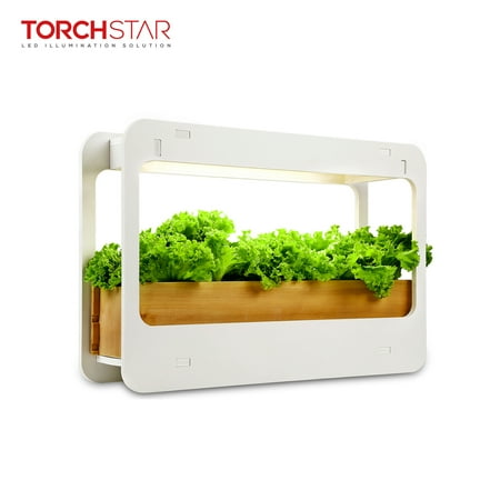 TORCHSTAR Plant Grow LED Light Kit for Valentine, Countertop Garden with Timer Function, 4000K, (Best Light Timer Grow Room)