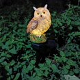 thumbnail image 4 of jardín con luces, , pájaro, luz , estatuas de resina, farol decorativo, luz para exteriores, pájaro para césped de , marrón Baoblaze Luces de estaca al aire libre, 4 of 8