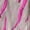 Pink, variant on Dresses for Women 2023 Short Sleeve Printing Floral Pattern Dress One Shoulder Off Slash Midi Fit And Flare Y2K Fashion Elegant Vintage Homecoming Irregular Swing Hem Dress with Belt