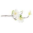 thumbnail image 3 of Ramo de flores de simulación de rama de flor artificial de 3 cabezas con hojas Decoración floral de oficina en casa, blanco Eigraketly HA7281-04B, 3 of 6
