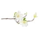 thumbnail image 3 of Ramo de flores de simulación de rama de flor artificial de 3 cabezas con hojas Decoración floral de oficina en casa, blanco sidaley HA7281-04B, 3 of 6