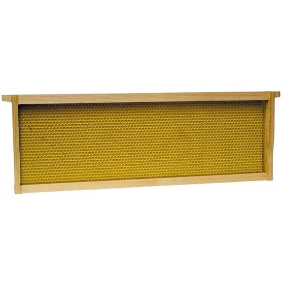 Harvest Lane Honey Assembled Medium Beehive Frame & Foundation - 5 Pack