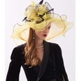 thumbnail image 3 of Women Derby Church Hat Organza Flower Wedding Tea Party Fascinator Hat Wide Brim Sun Hat, 3 of 5