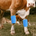 thumbnail image 2 of 2 Rouleaux de Bandages Enveloppants pour Blessures Sportives Élasticité Bandages Vache Bandages Auto-Adhésifs, 2 of 5