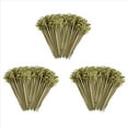 thumbnail image 1 of 600 Palitos de Bambú para Cóctel, Decoración una Granel, Brochetas de Bambú de 4,7 Pulgadas para Frutas, Palillos para Alimentos, Bambú, 1 of 5