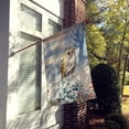 thumbnail image 2 of Carolines Treasures ASA2157CHF Barn Owl Flag Canvas House Size, 2 of 4
