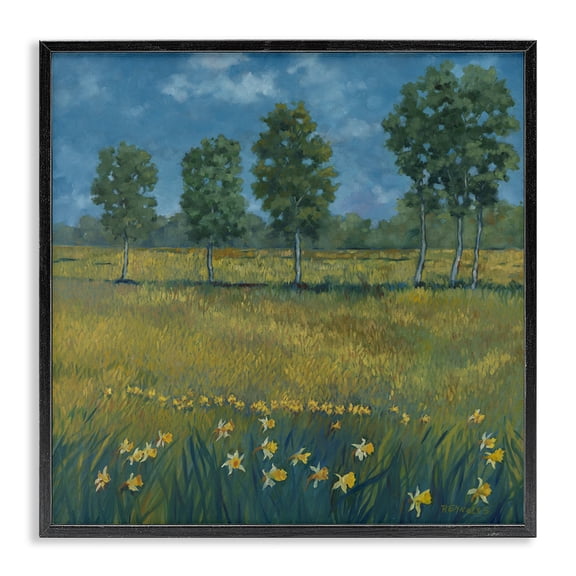 Stupell Industries Transitional Meadow with Daffodils Black Framed Giclee Art, 12 x 12, by Graham Reynolds