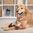 thumbnail image 3 of TrustyPup Tough 'N Fun Long Neck Rowdy Rooster Squeaky Chew Guard Dog Toy, Brown Large, 3 of 8