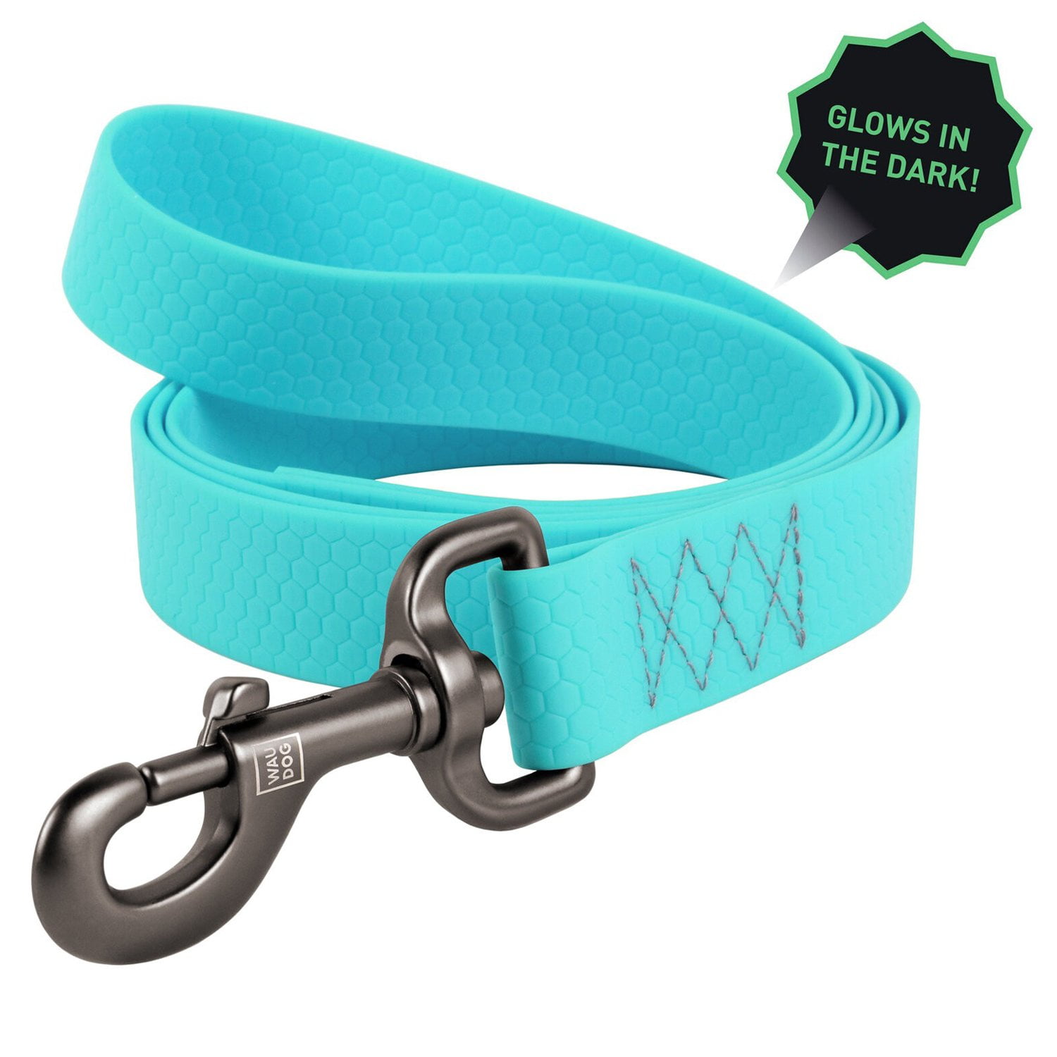 turquoise dog leash
