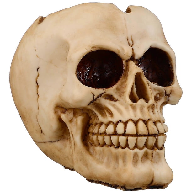 Skull Planter Skull Shape Planter Flower Arrangement Pot Small Flower Pot Plant Container