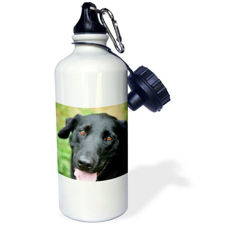 

3dRose Black Labrador. Sports Water Bottle 21oz