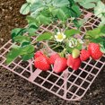 thumbnail image 4 of 6 soportes para plantar fresas, soporte de cultivo, fruta tridimensional, plástico rosa, 4 of 6