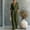 2# Army Green, variant on Jumpsuits Dressy for Women Casual V-Neck Batwing Short Sleeve Wide Leg Elegant Ladies Jumpsuit Rompers Pink S