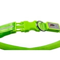 thumbnail image 5 of Blazin' Safety Rechargeable Light Up LED Dog Collar (Large, Green), 5 of 6